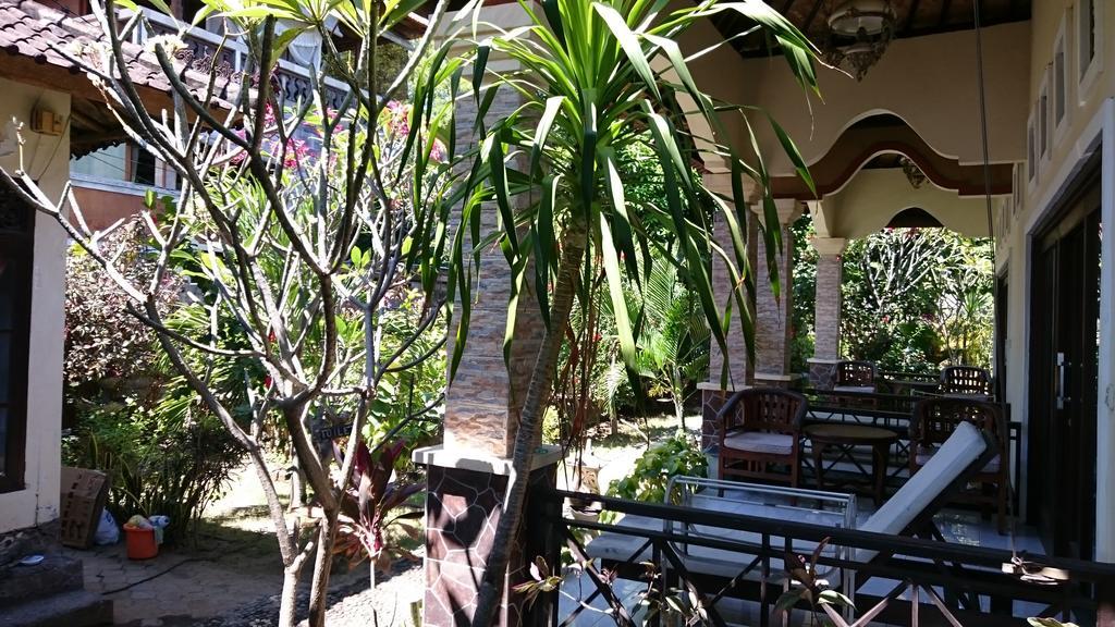 Barracuda Beach Hostel Αμέντ Εξωτερικό φωτογραφία